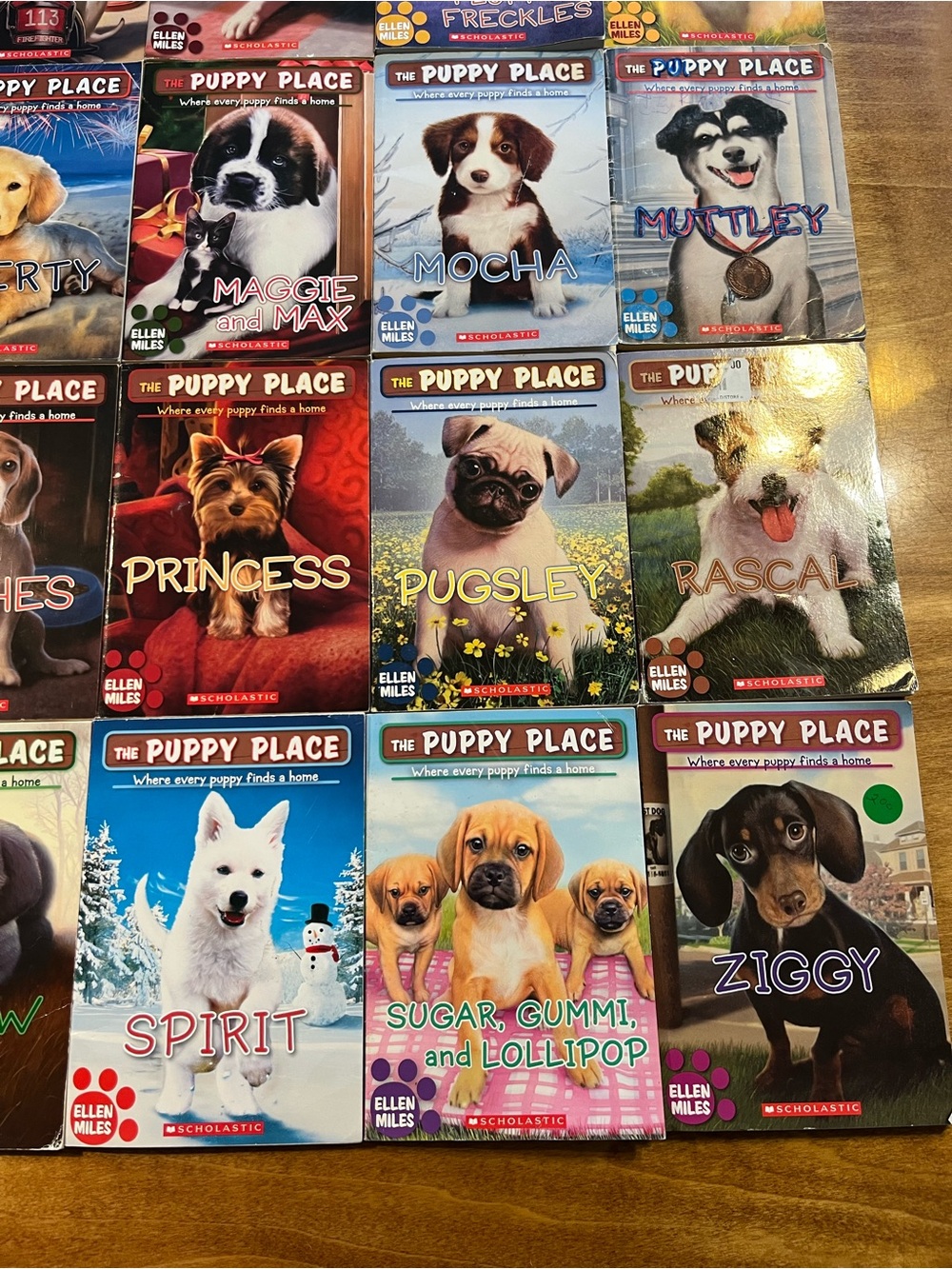 The Puppy Place Children’s Chapter Books- 25 Books - Picture 6 of 7